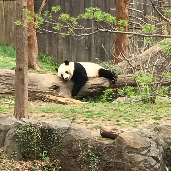 Meet your Posher, Miriam - Picture 1 of 1